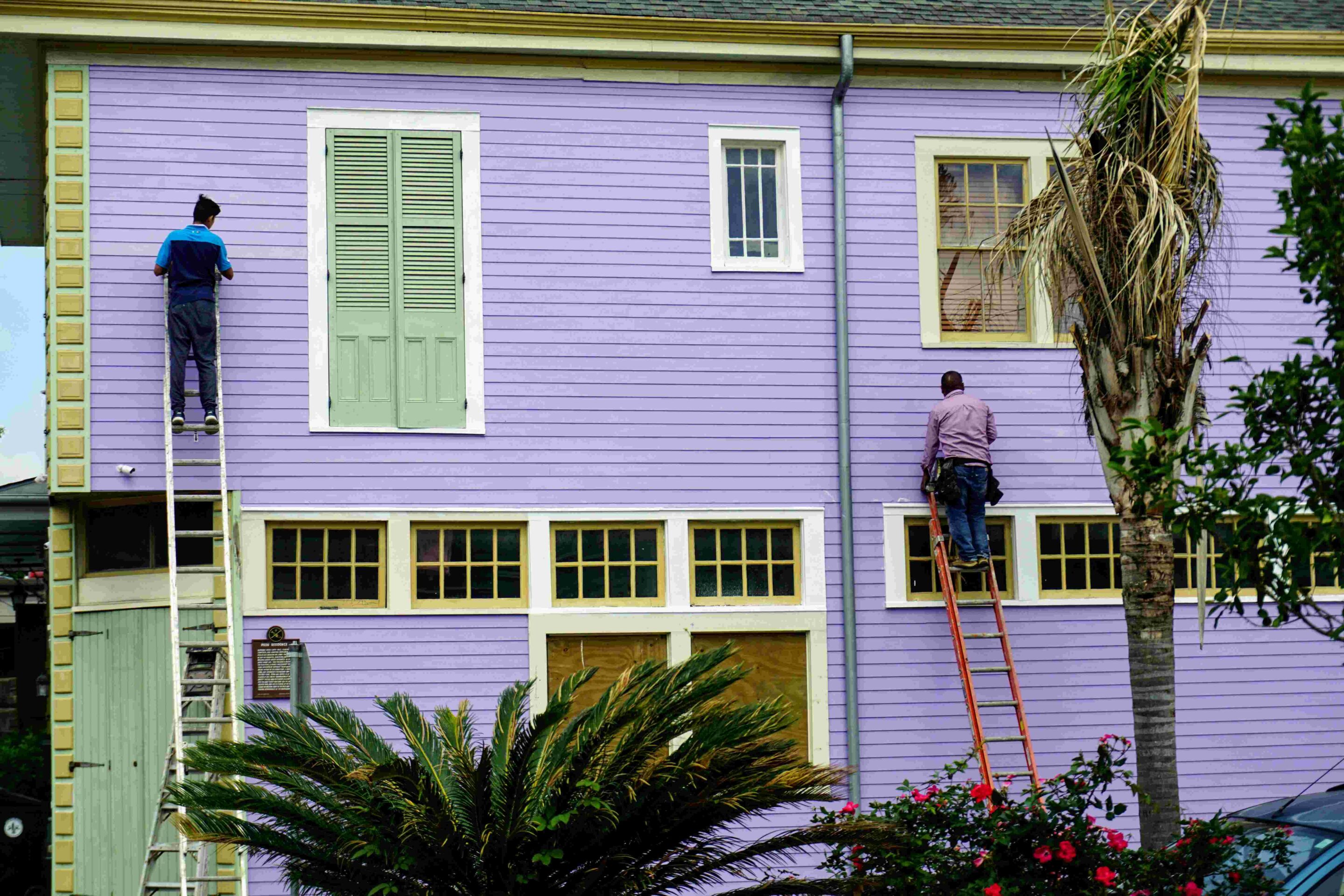 Two people on ladders paint the exterior of a purple wooden house with yellow trim. One person is on the left near closed shutters, and the other is on the right near a window and a palm tree.